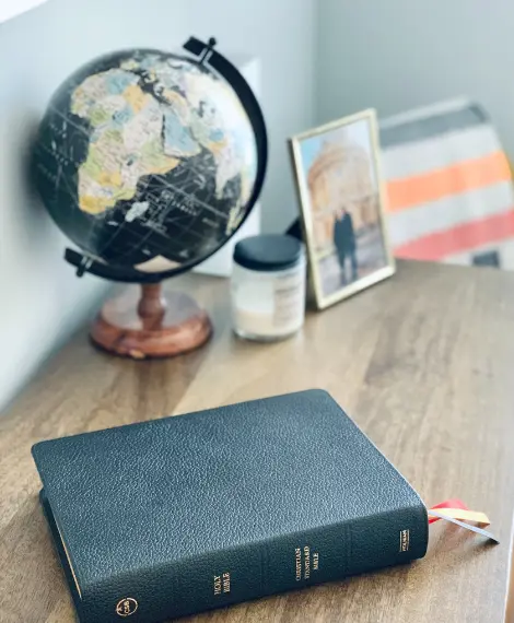 sterling study abroad